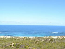 CLICK TO VIEW GALLERY