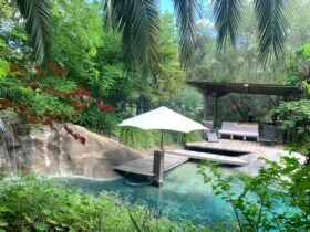Natural spring fed pool