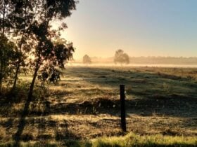 Freedom Farmstay - Baldivis Rural