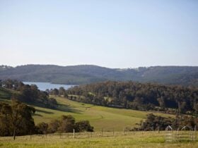 Our Breathtaking views of the Harvey Dam and surrounding hills