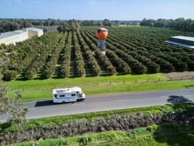 RV driving past Harvey's Big Orange
