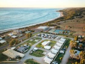 A drone image shows the layout of chalets and sites at Horrocks Beach Caravan Park near ocean