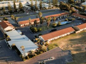 Overhead View
