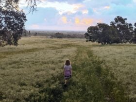 Young person walking down farm track overlooking the view of the farm.