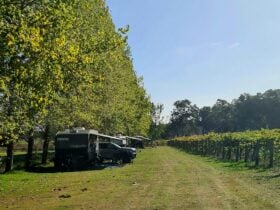 Jarvis Estate Winery & Camping