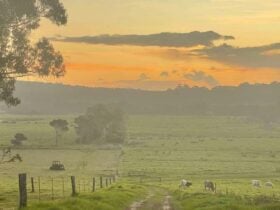 Kalgan Lookout