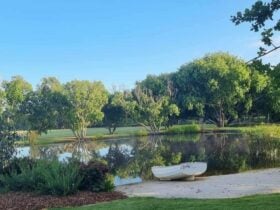 King River Albany