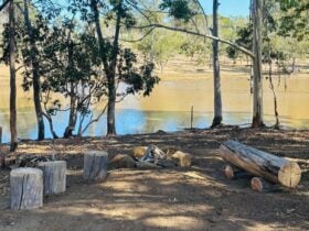 La Fiumara Olive Farm