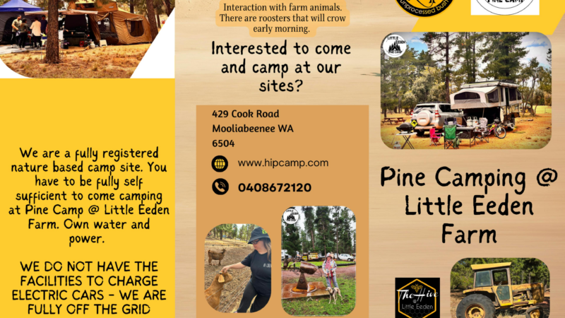 Little Eeden Farm Pine Camp