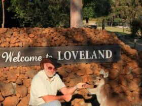 Wildlife Sanctuary for roos