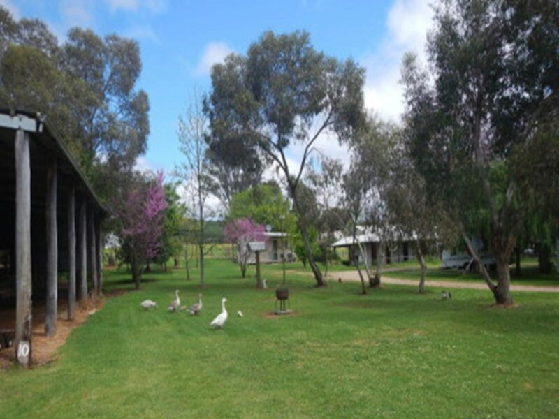 Maranup Ford Caravan Park Large Grass Sites