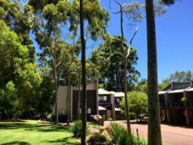 Margarets Forest Accommodation