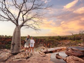 Couple standing next to a boab tree