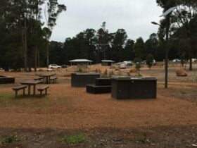 Barbecues and picnic tables with benches.