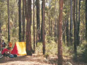 Lane Poole Reserve, Western Australia