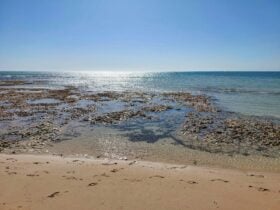 Sandy beach with sunlight reflecting off the water.