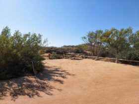 Open space of red dirt for setting up camp surrounded by small shrubs.