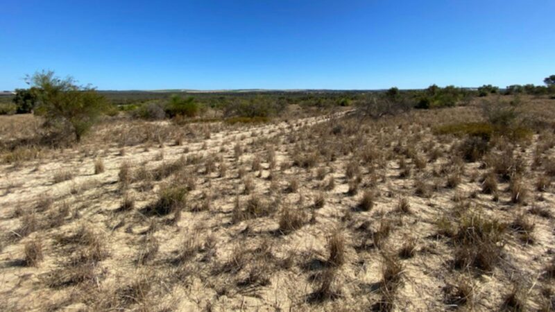 Neergabby heights