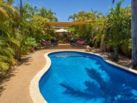 Swimmingpool - Relax in tropical surrounds. Ningaloo Lodge is famous for luxury gardens.