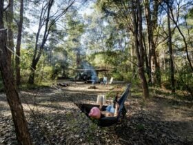 Relax with a book by the campfire