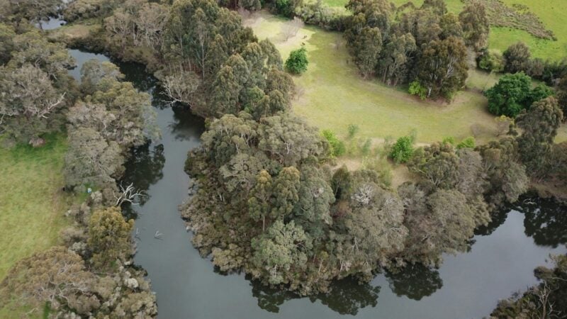 The Margaret River, Olive Hill Farm