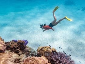 Person wearing fins and snorkel and googles swimming underwater near coral