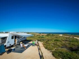 Caravan parked in a cleared space with ocean in the background.