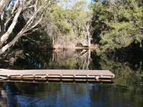 Paperbark Creek