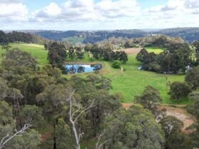 Parkland Bush Camp Mapanap