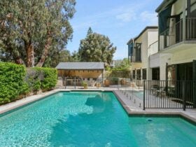 Back yard + pool area