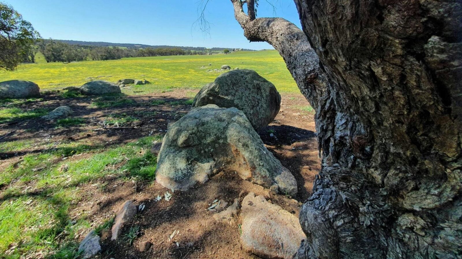 Peaceful Valley Farm