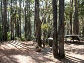 Perth Hills Centre Campground at Beelu National Park, Perth, Western Australia