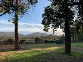 Porongurup Range Tourist Park, Porongurup, Western Australia