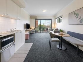 One Bedroom Apartment - Living & Kitchen