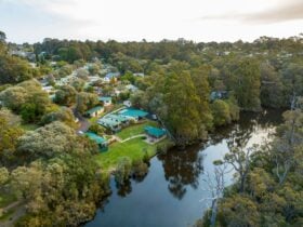 Aerial image of Riverview Tourist Park nestled on a riverbank with green trees