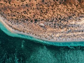 Sal Salis Ningaloo Reef