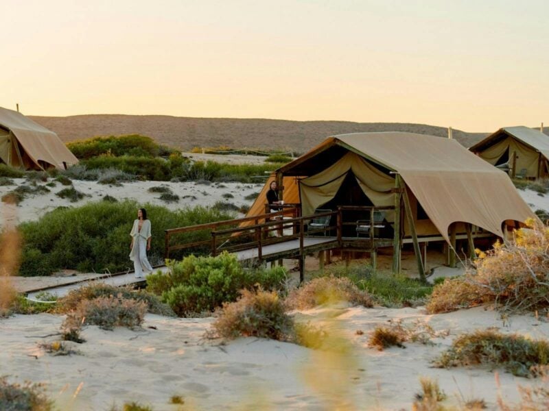Sal Salis Ningaloo Reef, Western Australia, Wilderness Tent