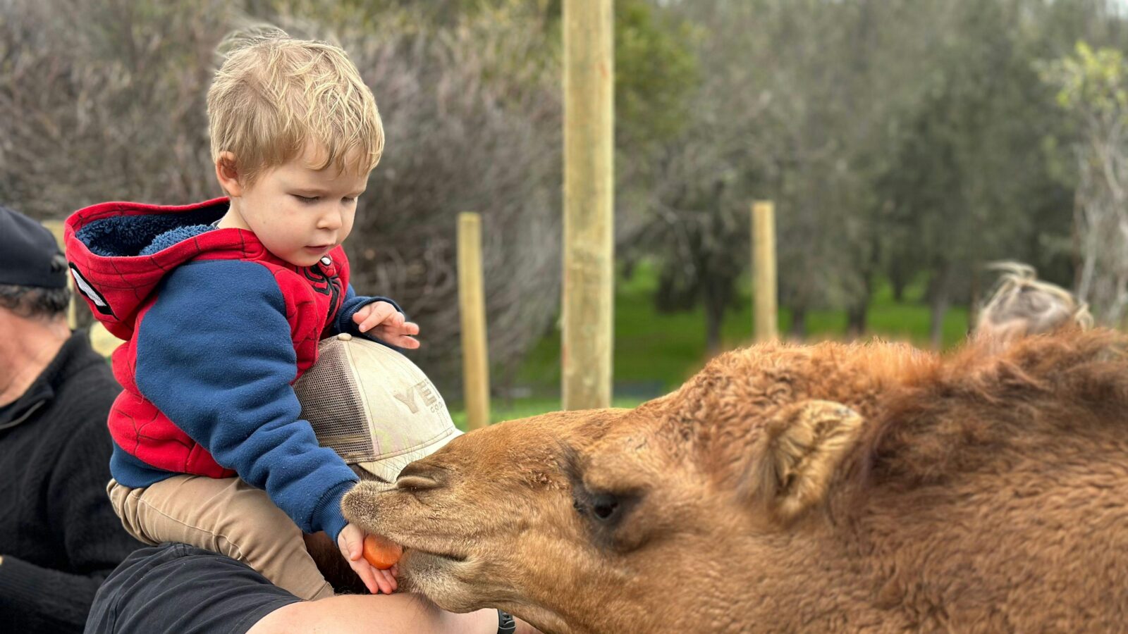 Sandalwood Downs Farm Stay Toodyay