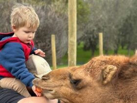 Sandalwood Downs Farm Stay Toodyay