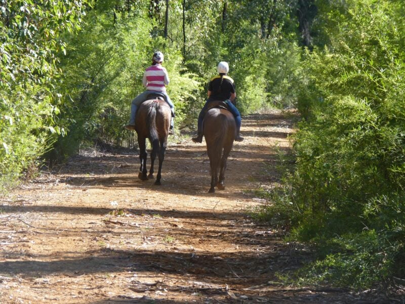Two people riding horses on a trail.