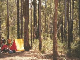 Stringers Camp at Lane Poole Reserve, Western Australia