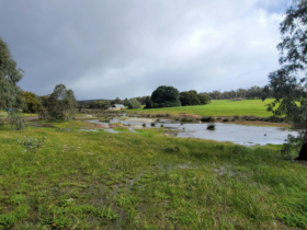 Summer Creek