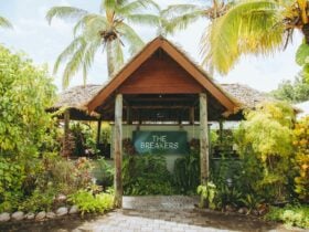 The Breakers cocos, Palm tree, Lawn, Accommodation