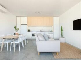Open Kitchen/Dining/Living