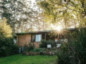 The exterior of a rammed earth cottage bathed in golden afternoon light, framed by tall native trees