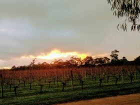 The Grove Distillery and Brewery, Wilyabrup, Western Australia