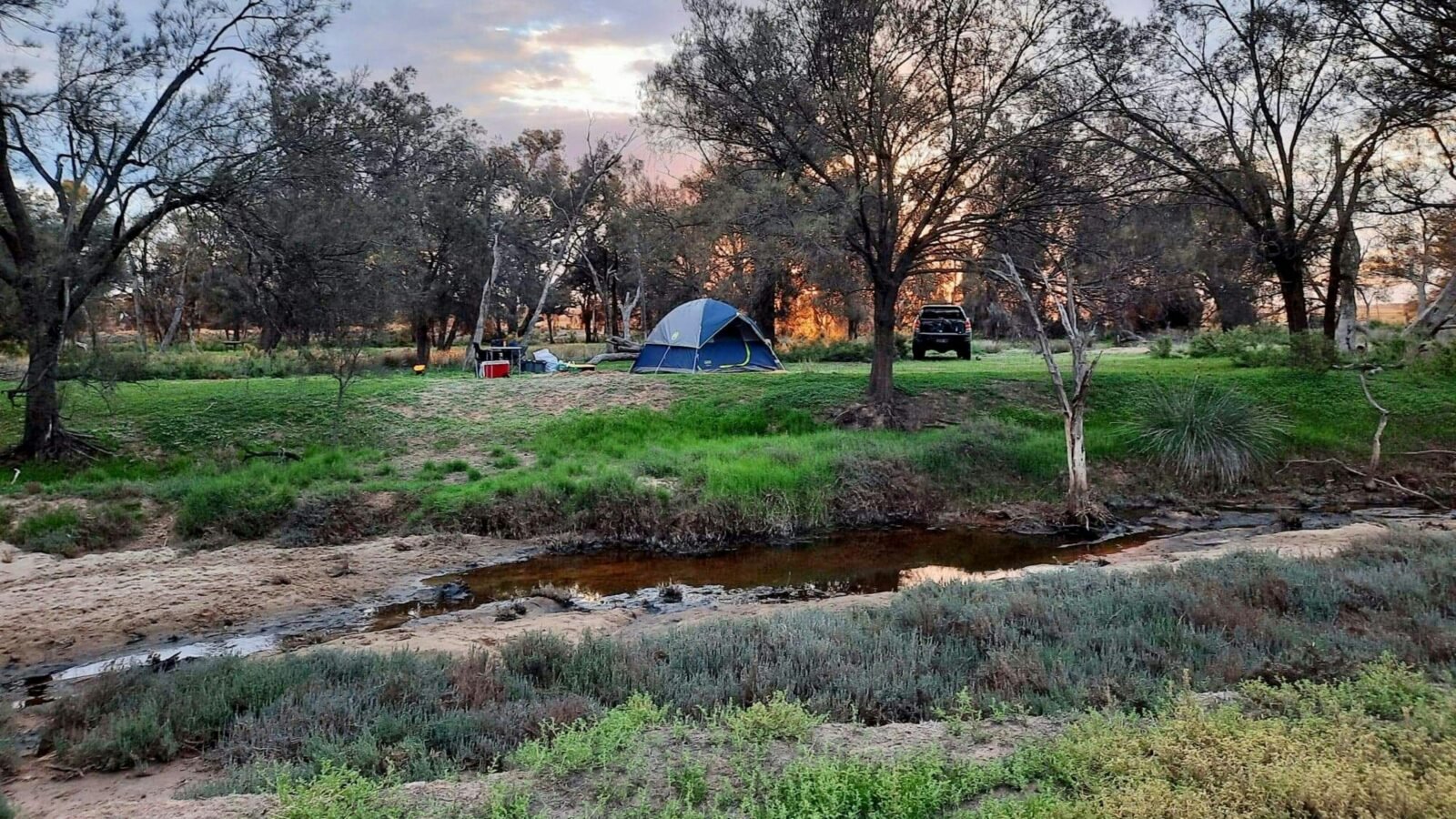 Trapwell Farm - an eco experience!