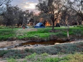 Trapwell Farm - an eco experience!