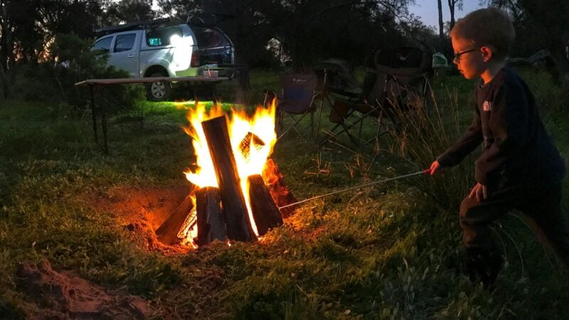 Trapwell Farm - an eco experience!