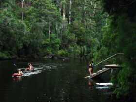 WA Wilderness Drafty